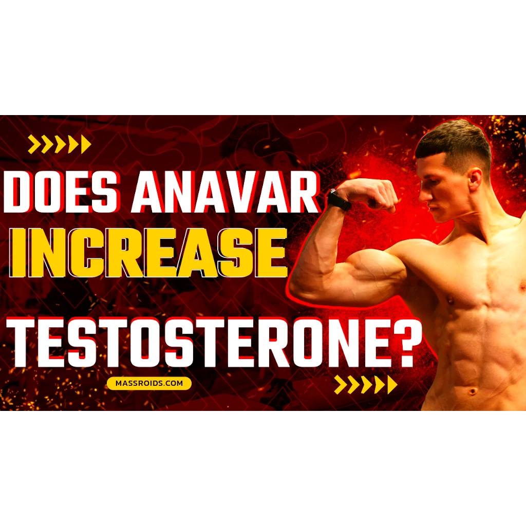 Does Anavar Increase Testosterone? Everything You Need to Know